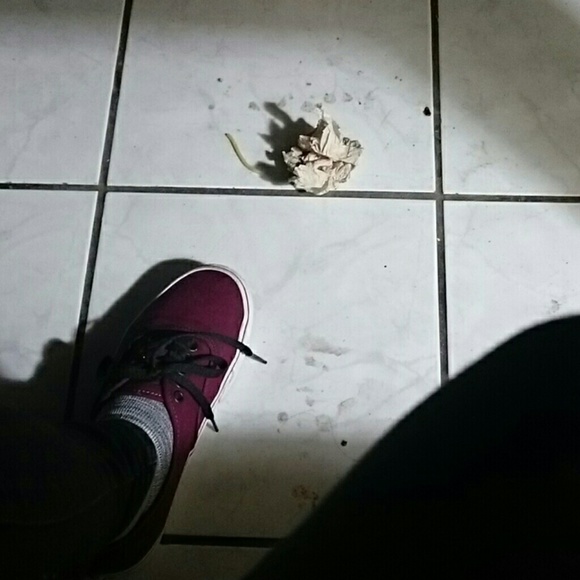 Meet your Posher, Mickey