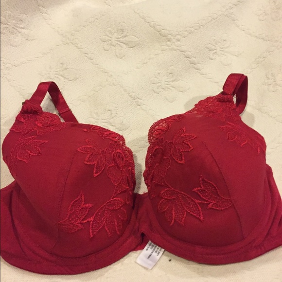 Cabernet Bra