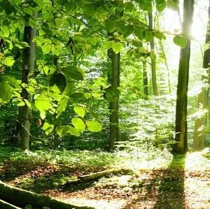 Meet your Posher, Angelica