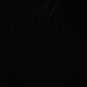 Meet your Posher, Maddy