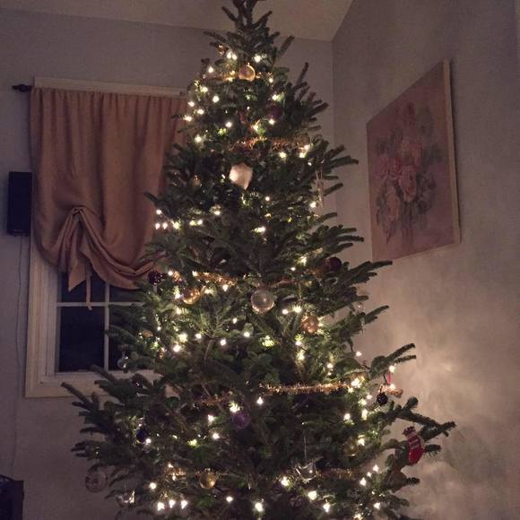 Meet your Posher, Traci