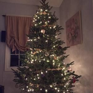 Meet your Posher, Traci