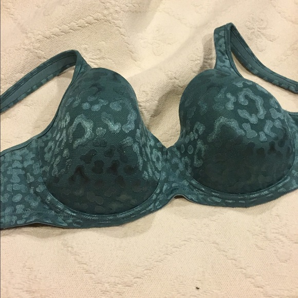 Modern Movement Bra