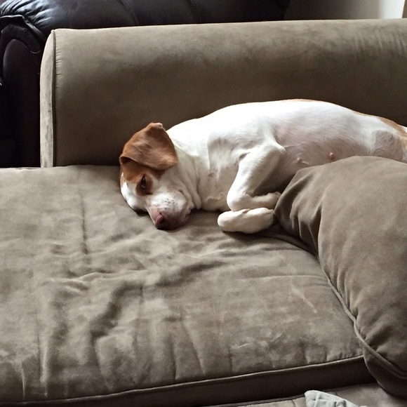 Meet your Posher, Kate