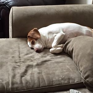 Meet your Posher, Kate