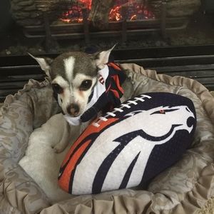 Meet your Posher, Shawna