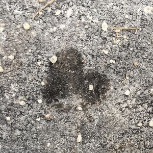 Meet your Posher, Isabelle