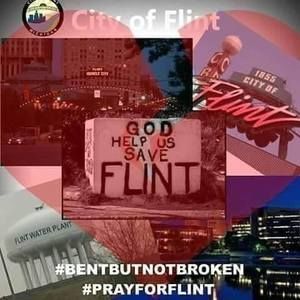 Meet your Posher, Randi