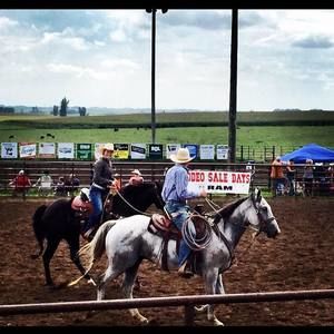 Meet your Posher, Garrett