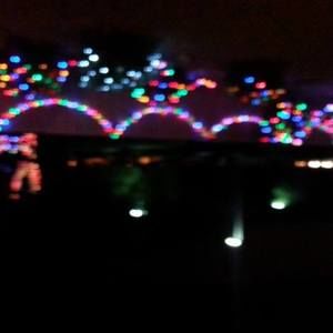 Meet your Posher, Hildie