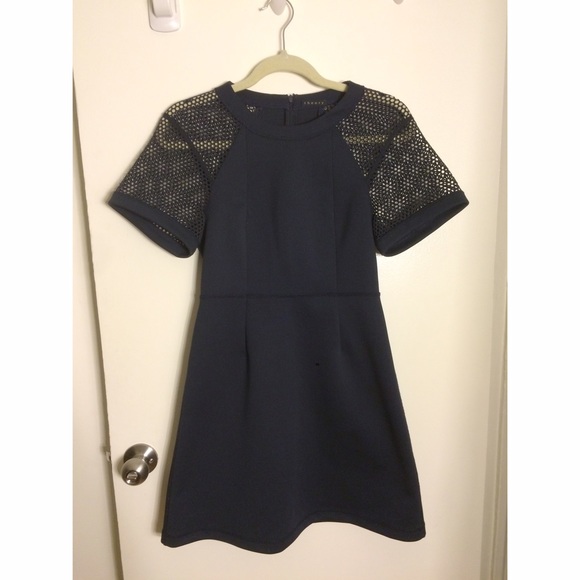 Theory dress - structured never worn - Picture 2 of 4