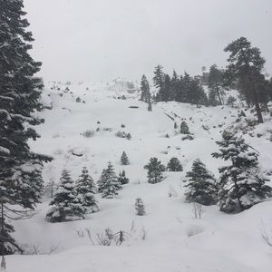 Meet your Posher, Youa