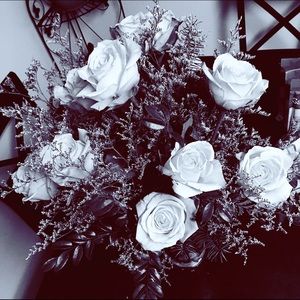 Meet your Posher, Steffany