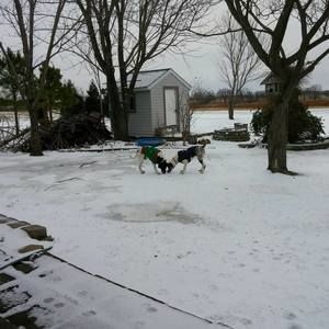 Meet your Posher, Alyson