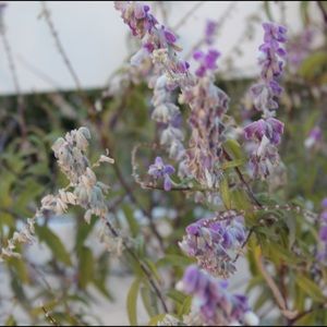 Meet your Posher, Chloe