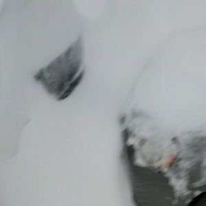 Meet your Posher, Liliana