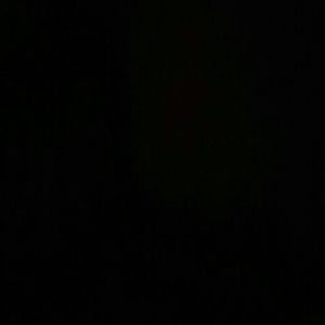 Meet your Posher, Paloma