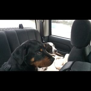 Meet your Posher, Britt