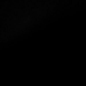 Meet your Posher, Lillian