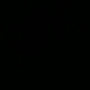 Meet your Posher, Carmen