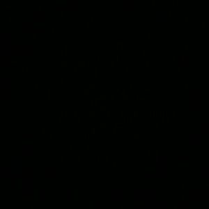 Meet your Posher, Natasha