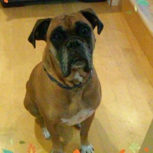 Meet your Posher, Kiki