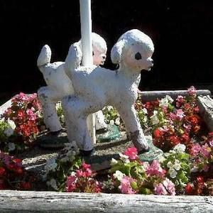 Meet your Posher, Beth