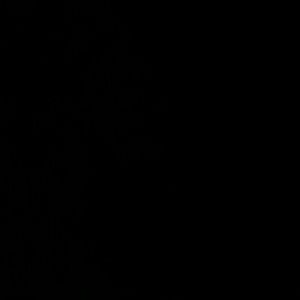 Meet your Posher, Hunter