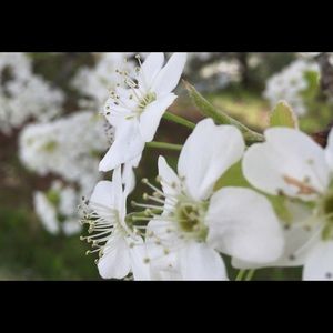 Meet your Posher, Michelle