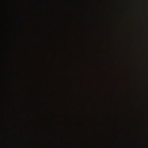 Meet your Posher, Sheena