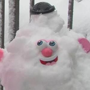 Meet your Posher, Wendy