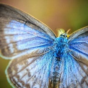 Meet your Posher, Keri