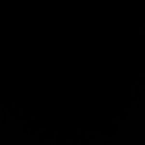 Meet your Posher, Annissa