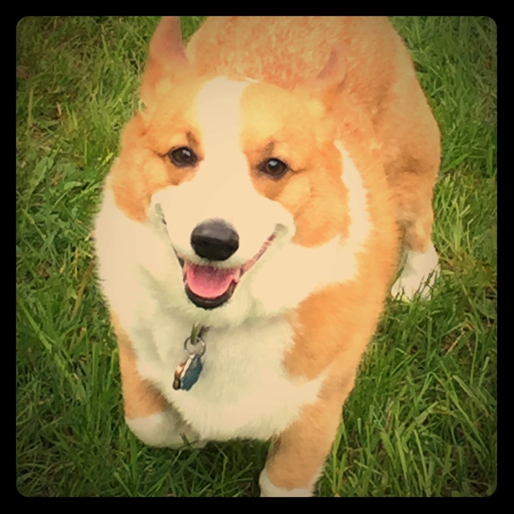 Meet your Posher, Brittany