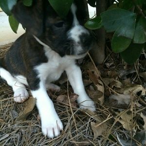 Meet your Posher, Mindy