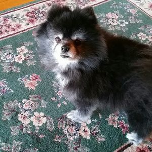 Meet your Posher, Rhonda