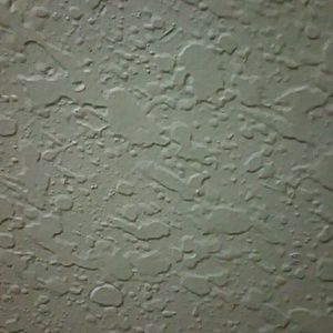 Meet your Posher, Cinthya