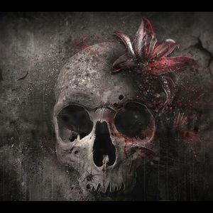 Meet your Posher, Shay