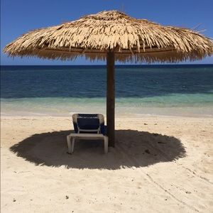 Meet your Posher, Molly