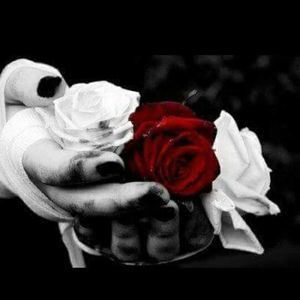 Meet your Posher, Marisol