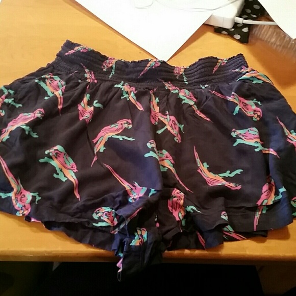 Cute bird shorts