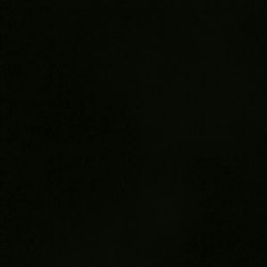 Meet your Posher, Keisha