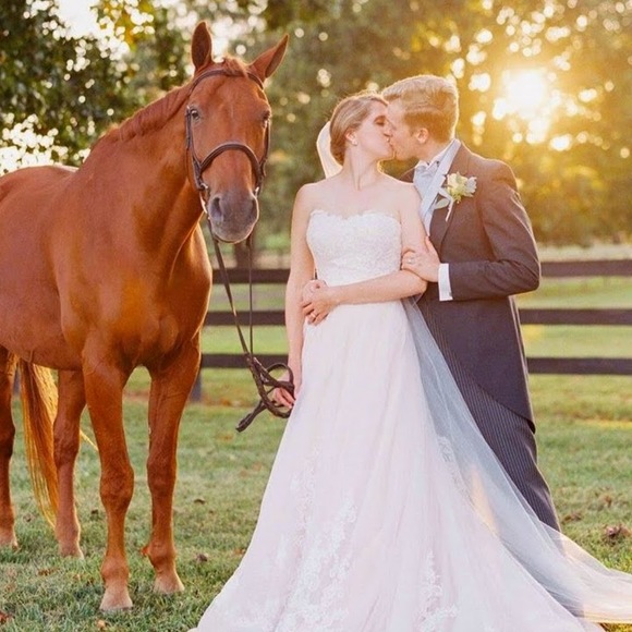 Meet your Posher, Ainsley