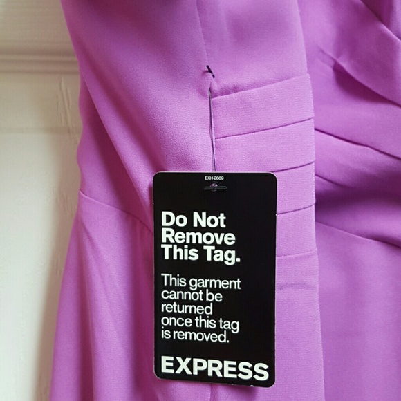 Express Dress - Picture 3 of 4