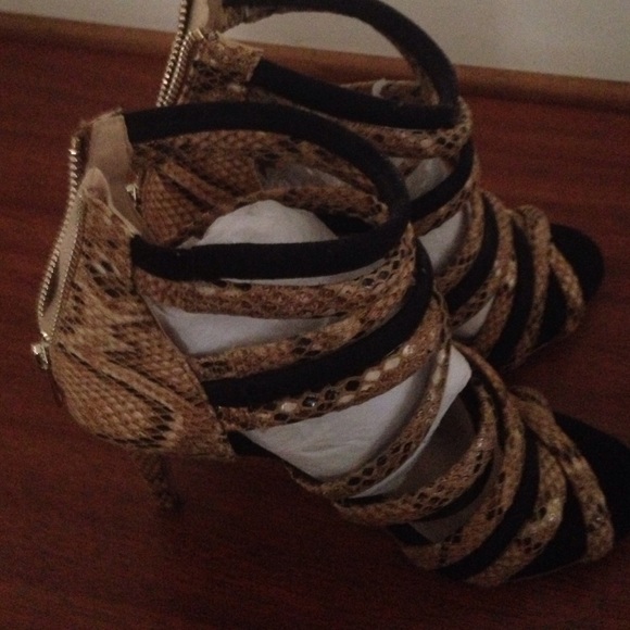 Spring time winners - Picture 4 of 4