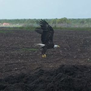 Meet your Posher, Ben