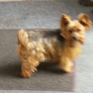 Meet your Posher, Mary lee