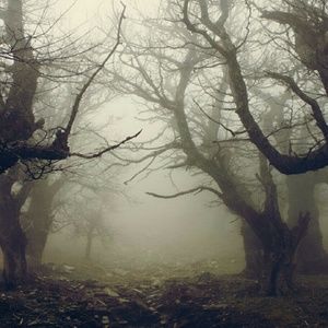 Meet your Posher, Sammy