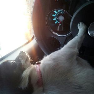 Meet your Posher, Elizabeth