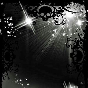 Meet your Posher, Misty